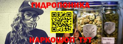 apvp Камышлов