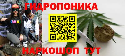 apvp Камышлов