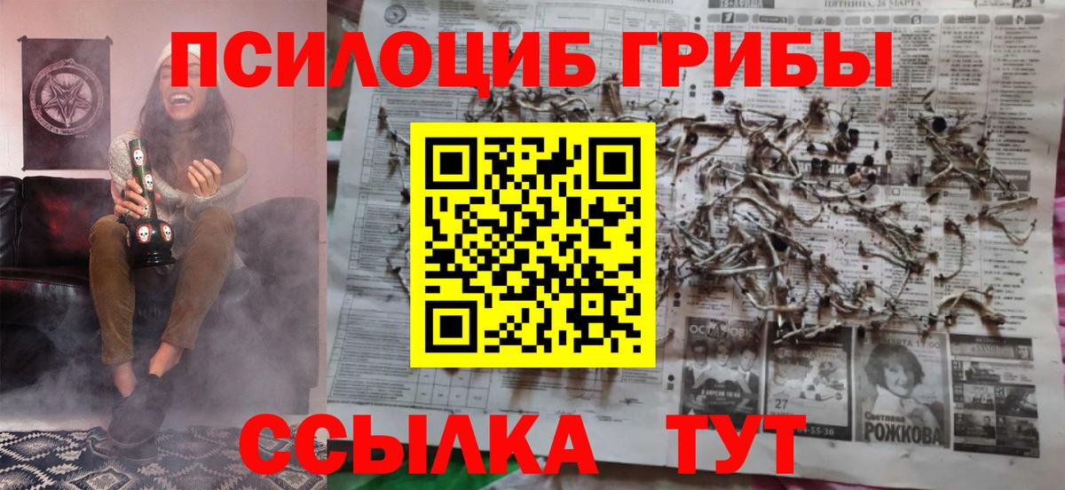 Галлюциногенные грибы Psilocybine cubensis Лесосибирск